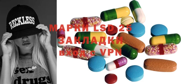 прущие грибы Беломорск