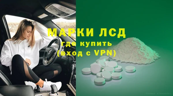 прущие грибы Беломорск