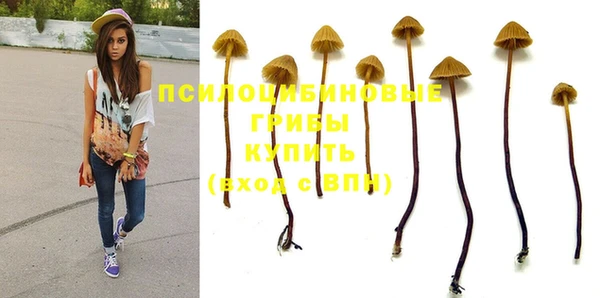 прущие грибы Беломорск