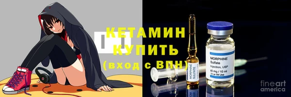 прущие грибы Беломорск