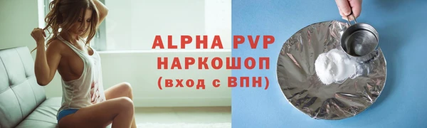 прущие грибы Беломорск