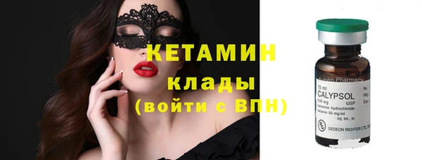 прущие грибы Беломорск