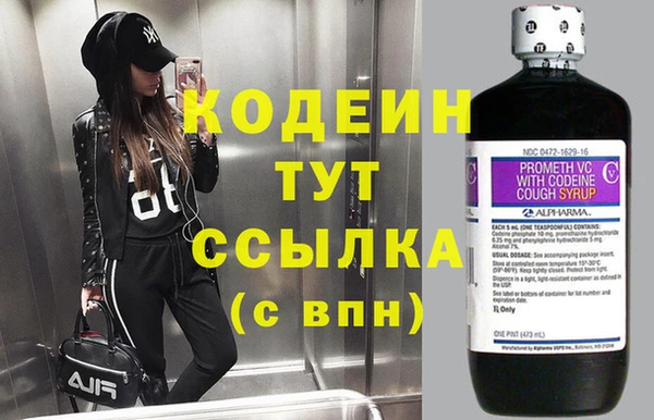 прущие грибы Беломорск