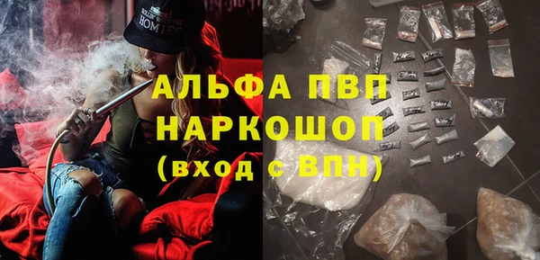 прущие грибы Беломорск