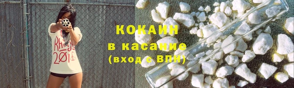 прущие грибы Беломорск