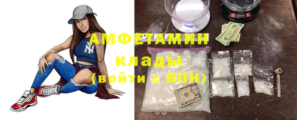 прущие грибы Беломорск