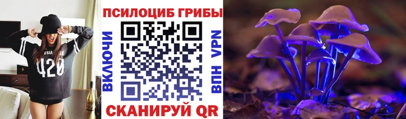 darknet клад  где можно купить наркотик  Новая Усмань  Псилоцибиновые грибы мицелий 